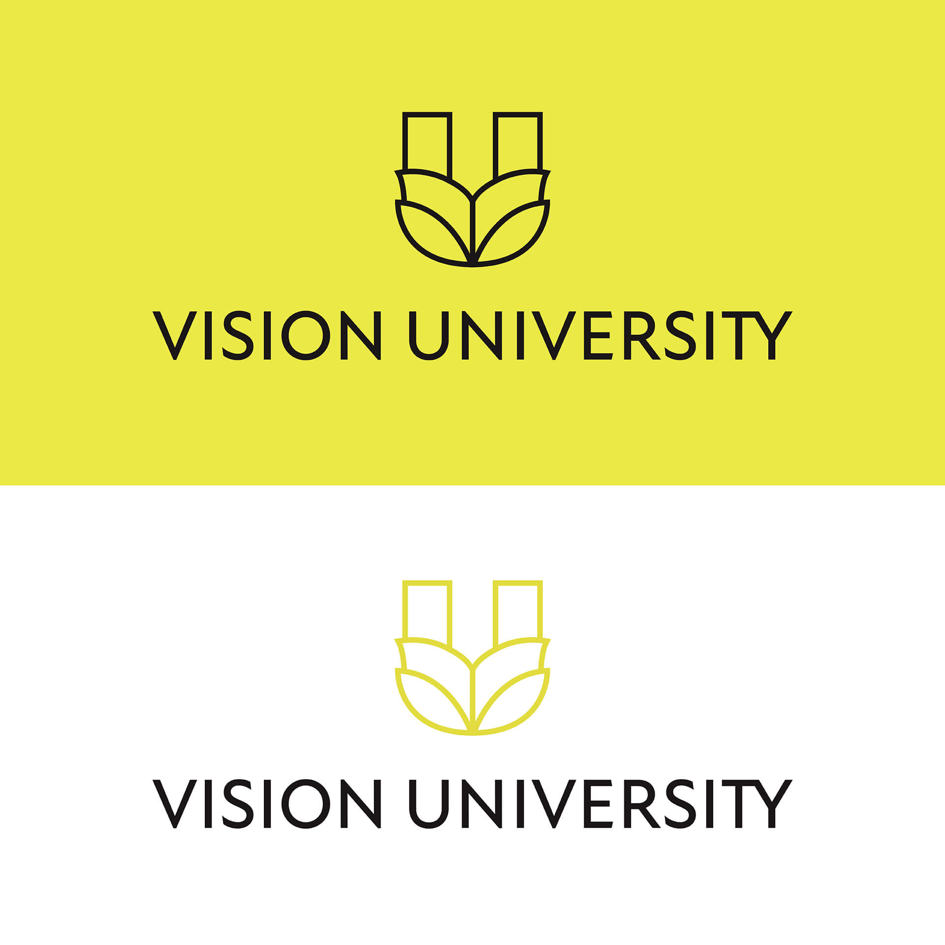 Vision University Brand Standards