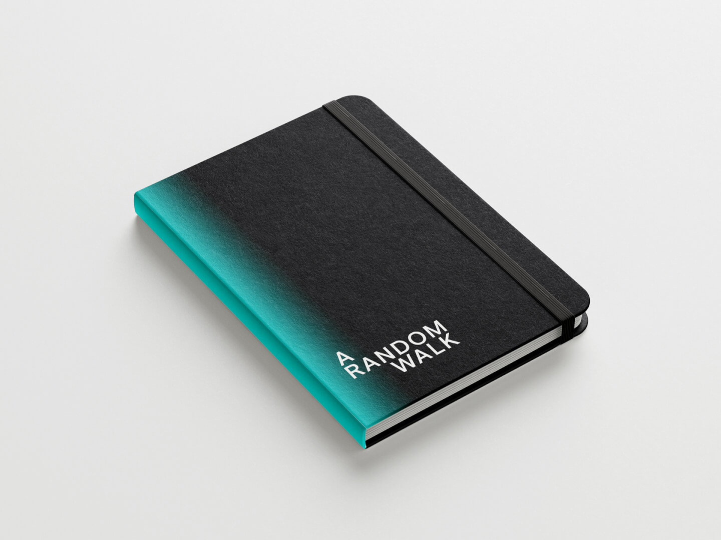 A Random Walk Notebook copy